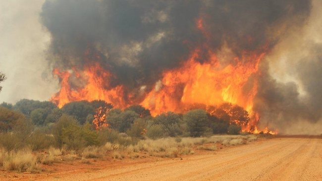 BUSH BURNING: BEFORE WE GET SO COMFORTABLE